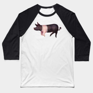 Cozy Hampshire Pig Baseball T-Shirt